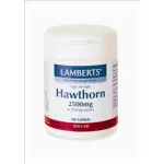 LAMBERTS Hawthorn 2500 mg - Ανοσοποιητικό στο Pharmakeio Online