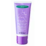 LANSINOH Κρέμα Για τις ερεθισμένες θηλές 40gr - Φροντίδα θηλών στο Pharmakeio Online