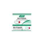 Bio-Propolis Αλοιφή για τον Επιχείλιο Έρπητα 2gr A.Vogel - Περιποίηση χειλιών στο Pharmakeio Online