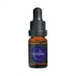 Eucalyptus Essential Oil Αιθέριο Έλαιο Ευκαλύπτου 10ml APIVITA - Αιθέρια έλαια αρωματοθεραπεία στο Pharmakeio Online