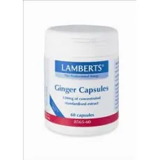 LAMBERTS Ginger 1200 mg - Προβιοτικά-Πεπτικό στο Pharmakeio Online