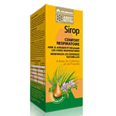Arkopharma Royal Syrup Breathe Easy 150ml Σιρόπι για το αναπνευστικό - Πονόλαιμος-βήχας στο Pharmakeio Online