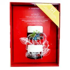 Korres ΑΓΡΙΟ ΤΡΙΑΝΤΑΦΥΛΛΟ Σετ (1+1) ΔΩΡΟ - με κρέμα προσώπου 24ωρης ενυδάτωσης & λάμψης SPF 6, 40ml & ΔΩΡΟ Επανορθωτική μάσκα ύπνου, 40ml. Για Λιπαρές - Μικτές επιδερμίδες. - Ενυδάτωση προσώπου στο Pharmakeio Online