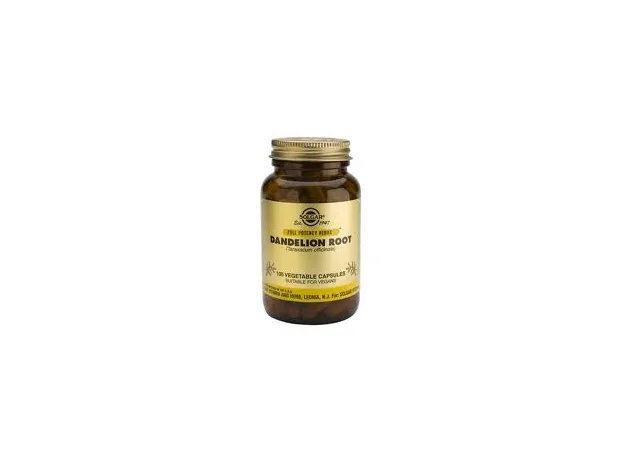 SOLGAR DANDELION ROOT 100 S για το ήπαρ - Προστασία ήπατος στο Pharmakeio Online