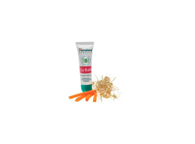 Himalaya Cocoa Butter Lip Balm για Προστασία Χειλιών - Περιποίηση χειλιών στο Pharmakeio Online