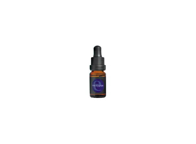 Eucalyptus Essential Oil Αιθέριο Έλαιο Ευκαλύπτου 10ml APIVITA - Αιθέρια έλαια αρωματοθεραπεία στο Pharmakeio Online