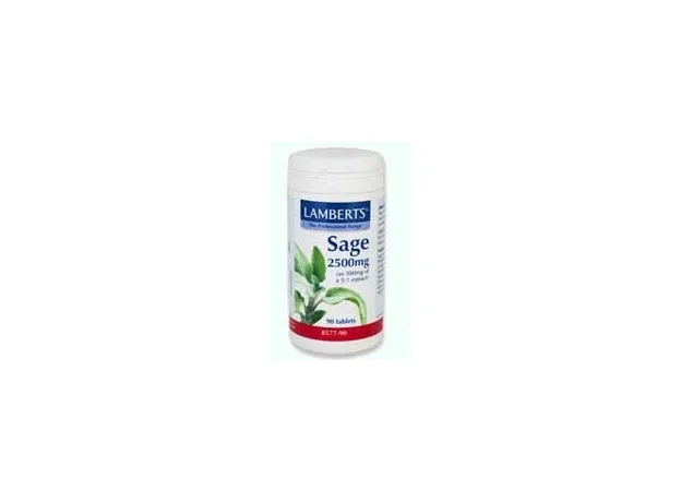 Lamberts -SAGE 2500mg εκχύλισμα φασκομηλιάς για καλύτερη μνήμη 90 tabs - Μνήμη-συγκέντρωση στο Pharmakeio Online