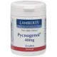LAMBERTS Pycnogenol 40 mg - Αντιοξειδωτικά στο Pharmakeio Online