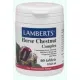 LAMBERTS Horce Chestnut Complex - Kυκλοφορικό-καρδιά στο Pharmakeio Online