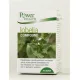 Lobelia 30's POWER HEALTH - Γρίπη-κρυολόγημα στο Pharmakeio Online